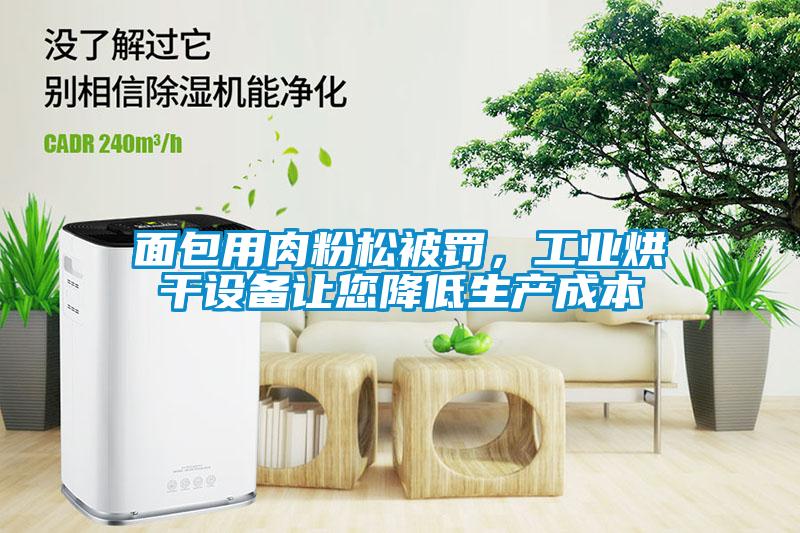 面包用肉粉松被罰，工業烘干設備讓您降低生產成本