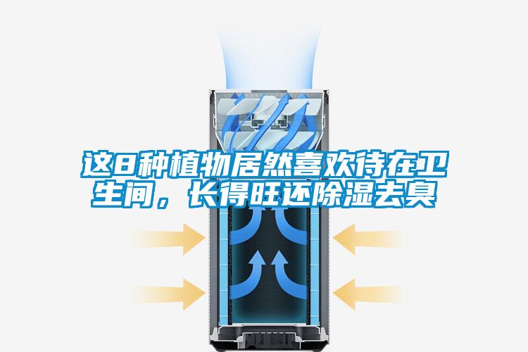 這8種植物居然喜歡待在衛生間，長得旺還除濕去臭