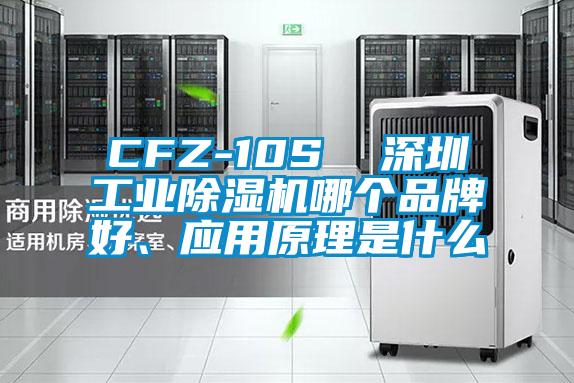 CFZ-10S  深圳工業除濕機哪個品牌好、應用原理是什么