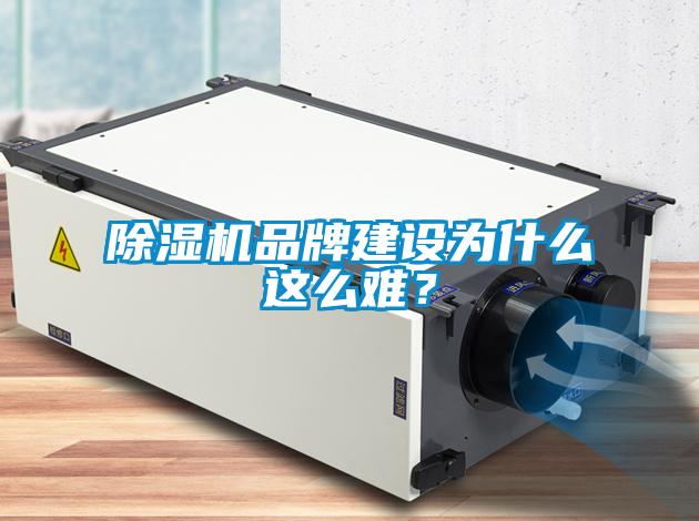 除濕機品牌建設為什么這么難？