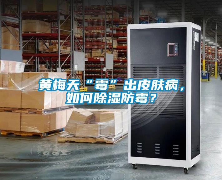 黃梅天“霉”出皮膚病，如何除濕防霉？