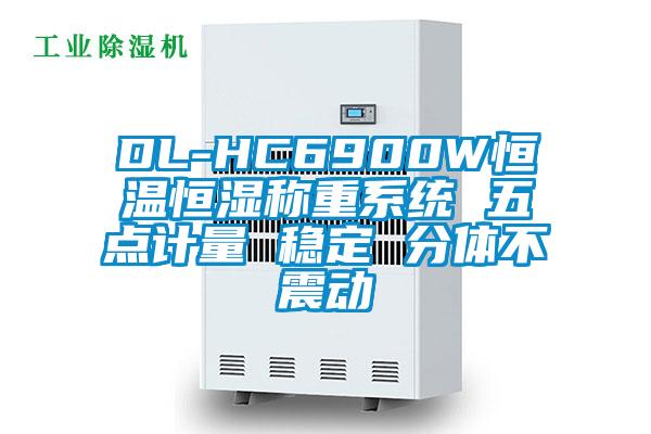 DL-HC6900W恒溫恒濕稱重系統 五點計量 穩定 分體不震動