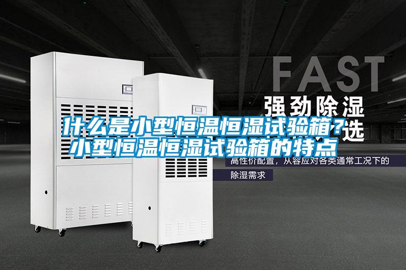 什么是小型恒溫恒濕試驗箱？小型恒溫恒濕試驗箱的特點