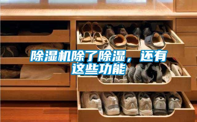 除濕機除了除濕，還有這些功能