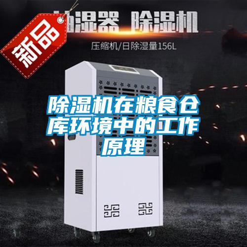 除濕機在糧食倉庫環境中的工作原理