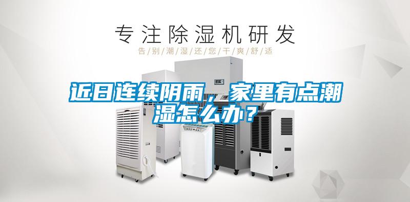 近日連續陰雨，家里有點潮濕怎么辦？