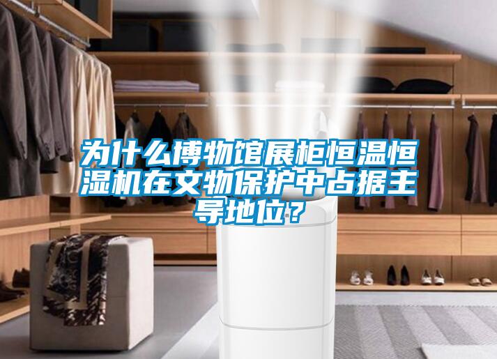 為什么博物館展柜恒溫恒濕機在文物保護中占據主導地位？