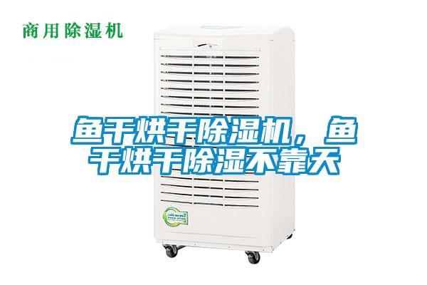 魚干烘干除濕機，魚干烘干除濕不靠天