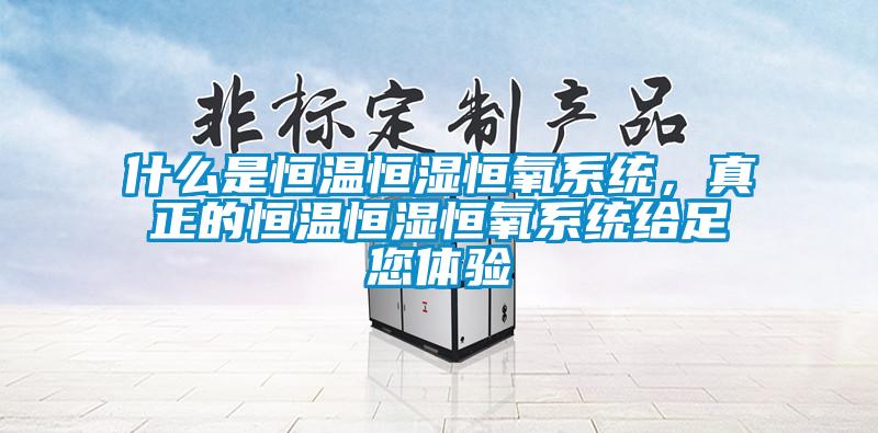 什么是恒溫恒濕恒氧系統，真正的恒溫恒濕恒氧系統給足您體驗