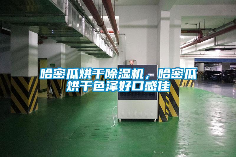 哈密瓜烘干除濕機，哈密瓜烘干色澤好口感佳