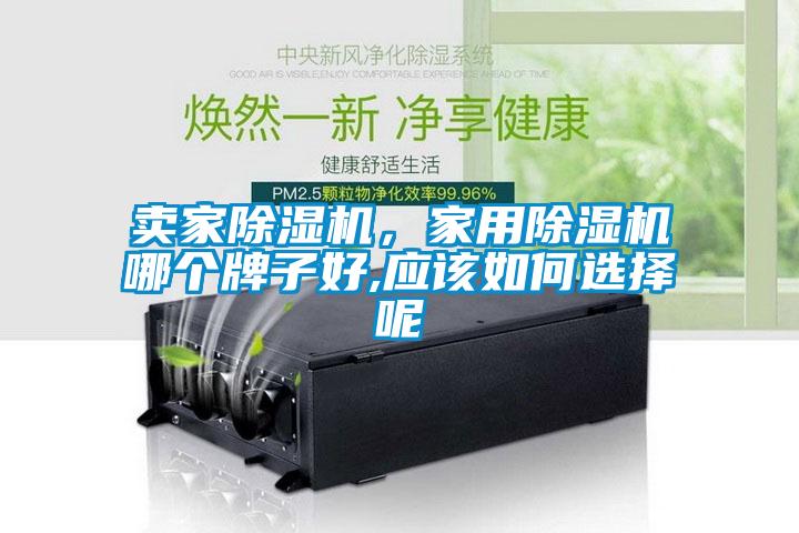 賣家除濕機，家用除濕機哪個牌子好,應該如何選擇呢