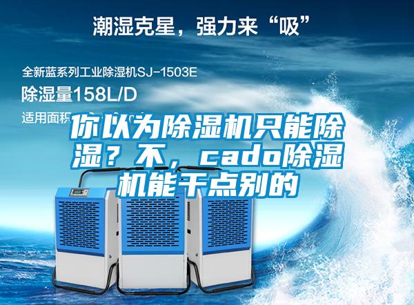 你以為除濕機只能除濕？不，cado除濕機能干點別的