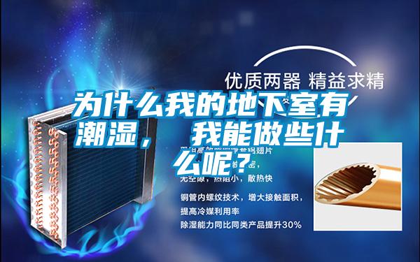 為什么我的地下室有潮濕， 我能做些什么呢？