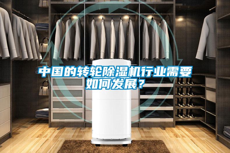 中國的轉輪除濕機行業需要如何發展？