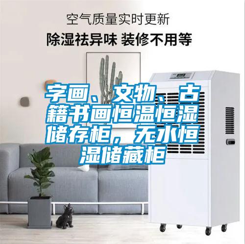字畫、文物、古籍書畫恒溫恒濕儲存柜，無水恒濕儲藏柜