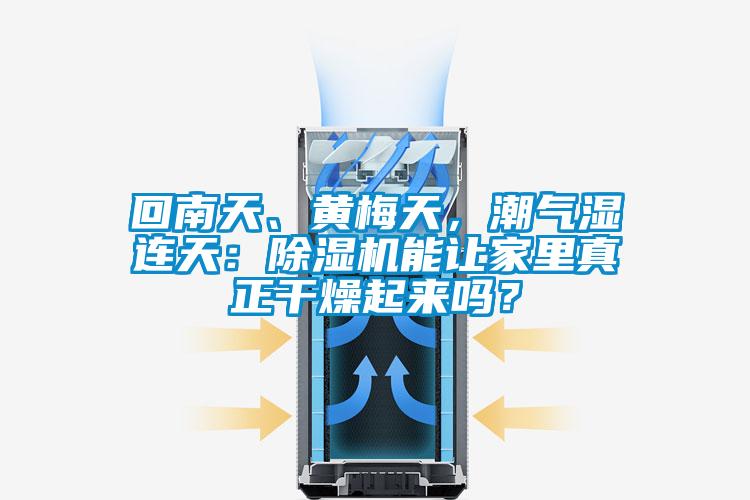 回南天、黃梅天，潮氣濕連天：除濕機能讓家里真正干燥起來嗎？