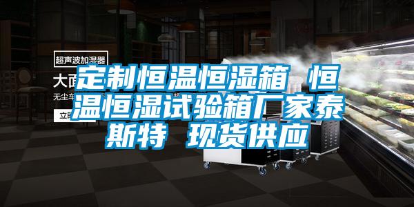 定制恒溫恒濕箱 恒溫恒濕試驗箱廠家泰斯特 現貨供應