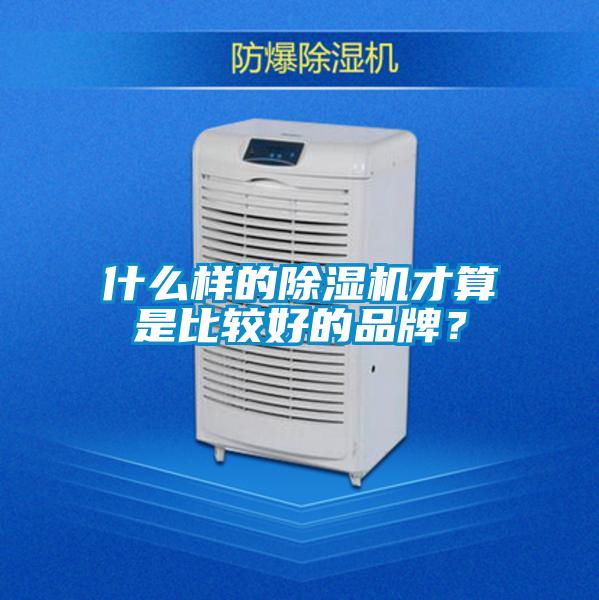 什么樣的除濕機才算是比較好的品牌？