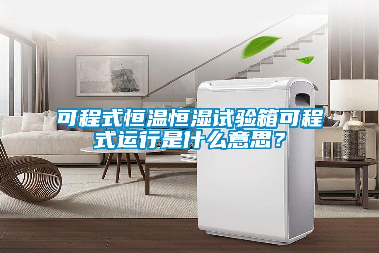 可程式恒溫恒濕試驗箱可程式運行是什么意思？
