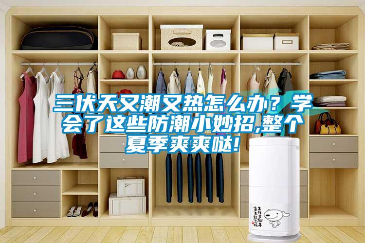 三伏天又潮又熱怎么辦？學會了這些防潮小妙招,整個夏季爽爽噠!