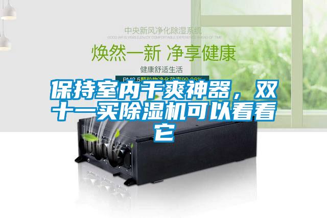 保持室內干爽神器，雙十一買除濕機可以看看它