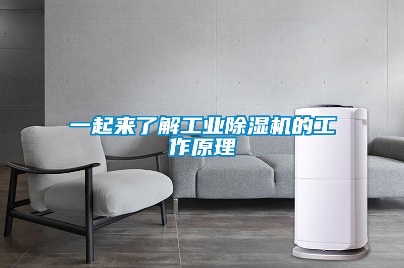 一起來了解工業除濕機的工作原理