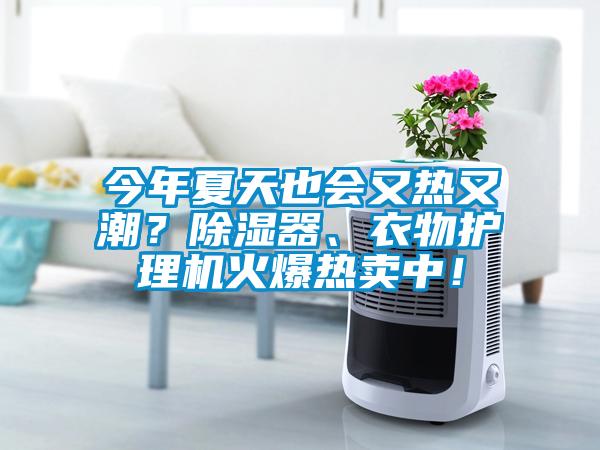 今年夏天也會又熱又潮？除濕器、衣物護理機火爆熱賣中！
