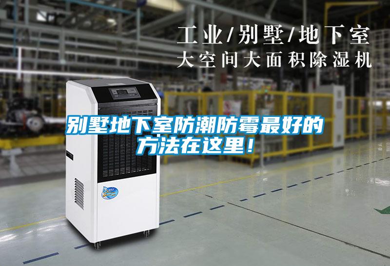 別墅地下室防潮防霉最好的方法在這里！