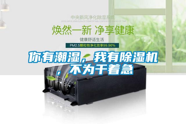 你有潮濕，我有除濕機，不為干著急