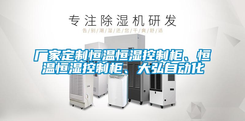 廠家定制恒溫恒濕控制柜、恒溫恒濕控制柜、大弘自動化