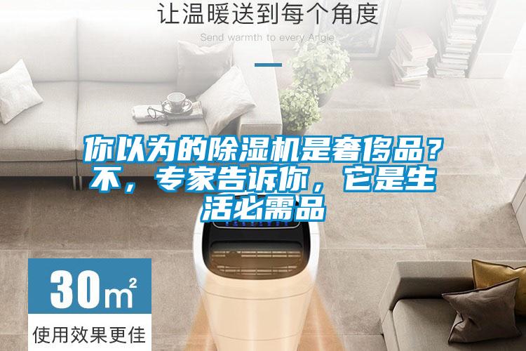 你以為的除濕機是奢侈品？不，專家告訴你，它是生活必需品