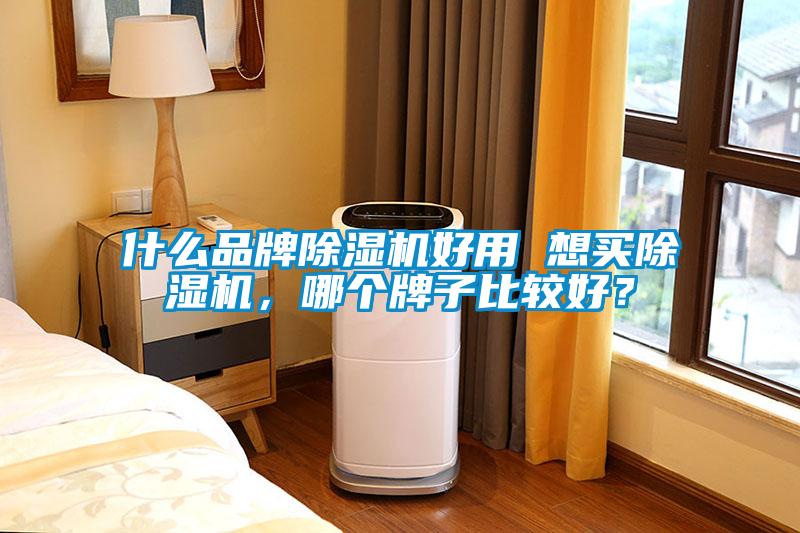 什么品牌除濕機好用 想買除濕機，哪個牌子比較好？