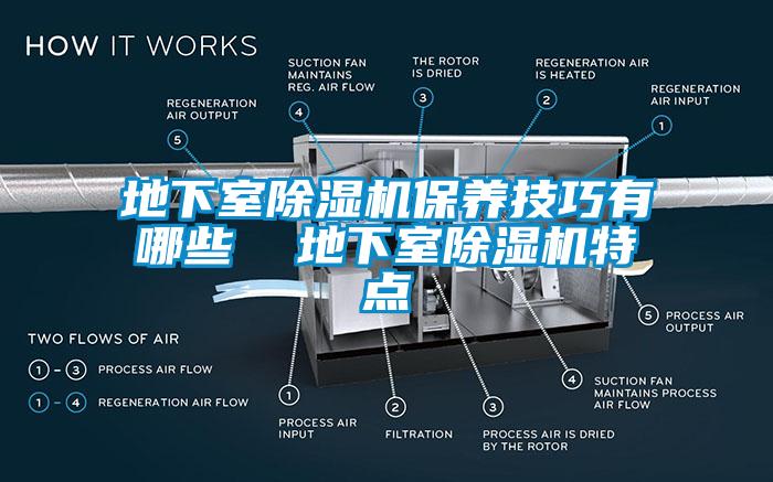 地下室除濕機保養技巧有哪些  地下室除濕機特點