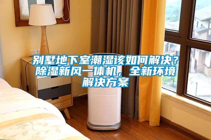 別墅地下室潮濕該如何解決？除濕新風一體機，全新環境解決方案