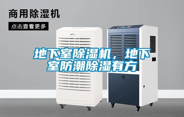 地下室除濕機，地下室防潮除濕有方