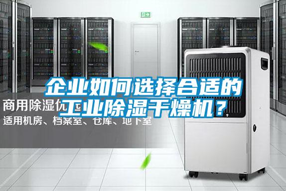 企業如何選擇合適的工業除濕干燥機？