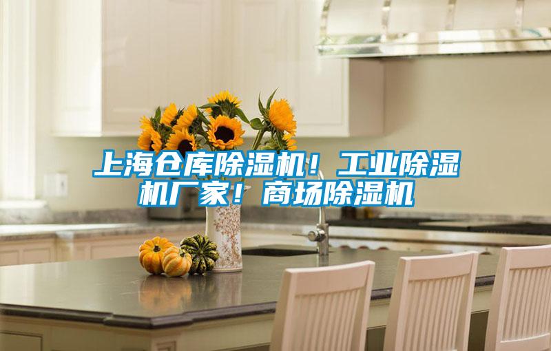 上海倉庫除濕機！工業除濕機廠家！商場除濕機