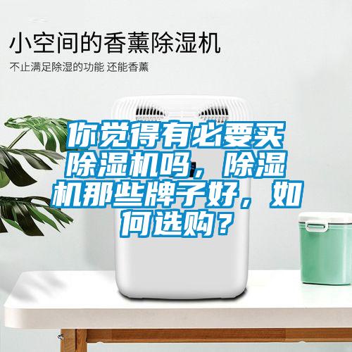 你覺得有必要買除濕機嗎，除濕機那些牌子好，如何選購？
