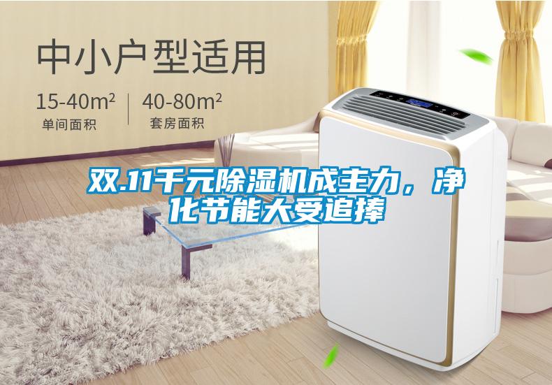 雙.11千元除濕機成主力，凈化節能大受追捧