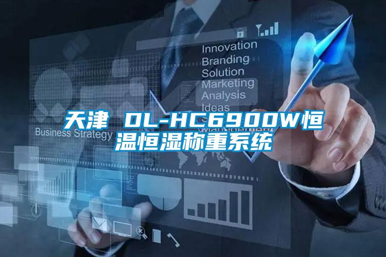 天津 DL-HC6900W恒溫恒濕稱重系統