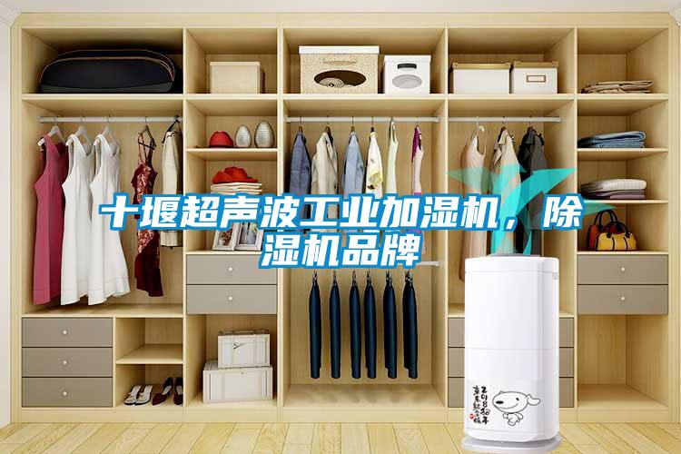 十堰超聲波工業加濕機，除濕機品牌