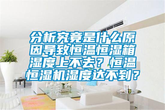 分析究竟是什么原因導致恒溫恒濕箱濕度上不去？恒溫恒濕機濕度達不到？