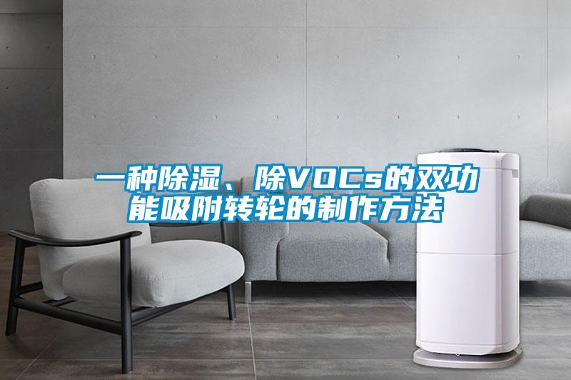 一種除濕、除VOCs的雙功能吸附轉輪的制作方法
