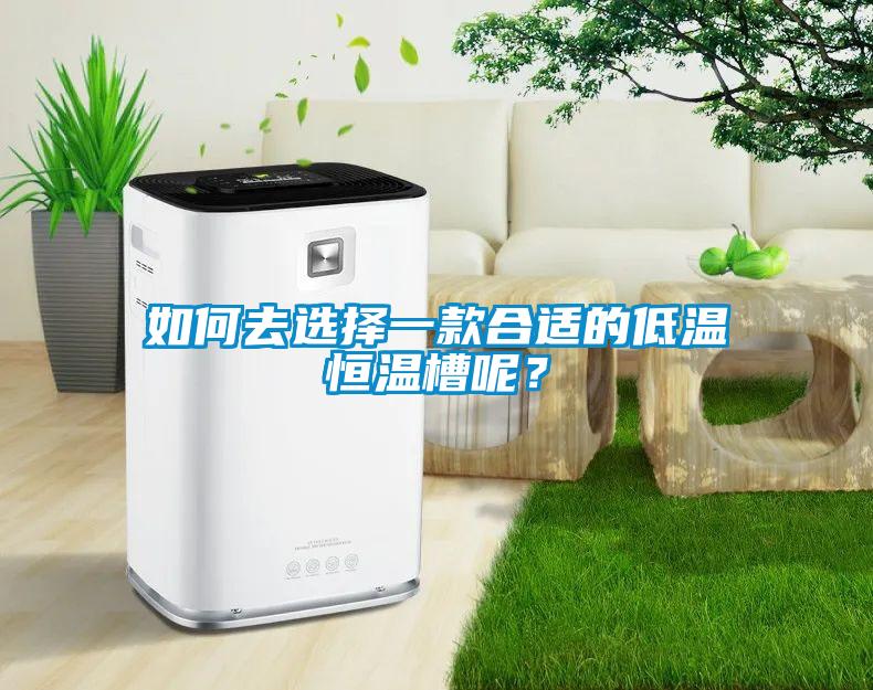 如何去選擇一款合適的低溫恒溫槽呢？