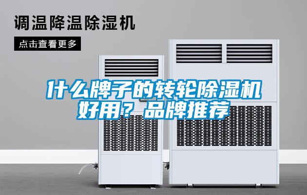 什么牌子的轉輪除濕機好用？品牌推薦