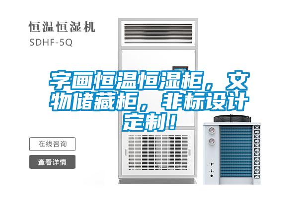 字畫恒溫恒濕柜，文物儲藏柜，非標設計定制！
