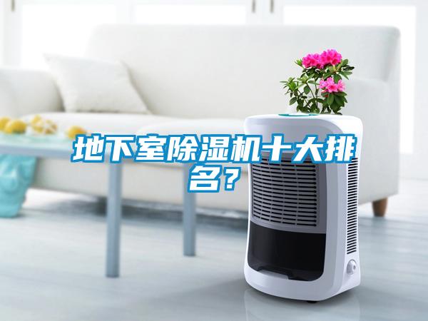 地下室除濕機十大排名？