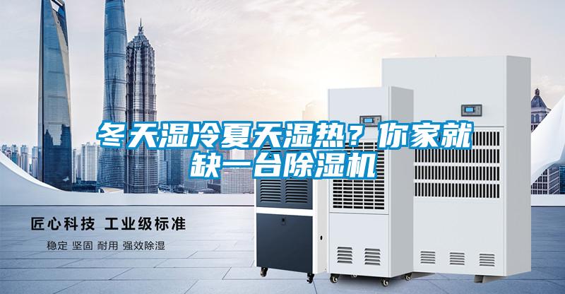 冬天濕冷夏天濕熱？你家就缺一臺除濕機