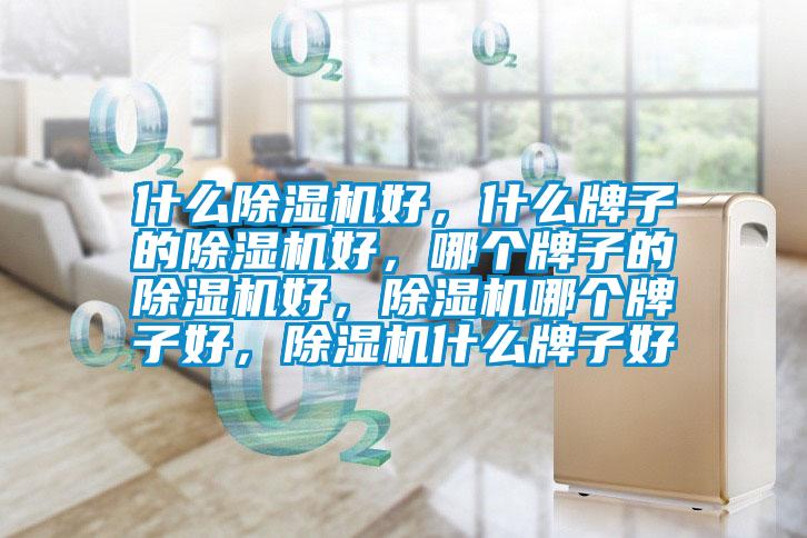 什么除濕機好，什么牌子的除濕機好，哪個牌子的除濕機好，除濕機哪個牌子好，除濕機什么牌子好