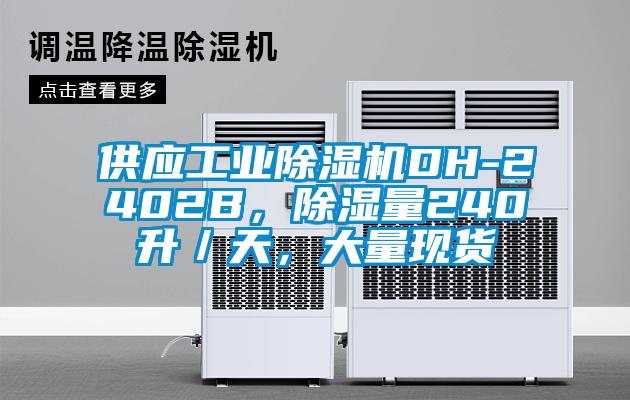 供應工業除濕機DH-2402B，除濕量240升／天，大量現貨